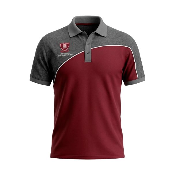 POLO CONTABILIDAD
