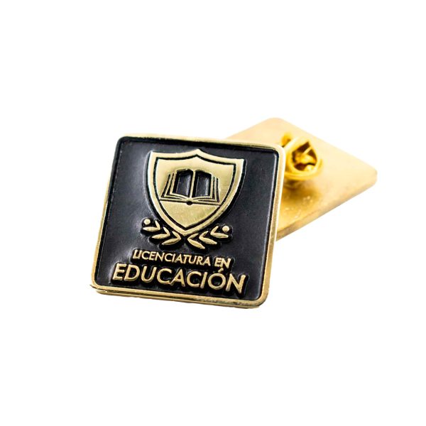 PIN LICENCIATURA EDUCACION