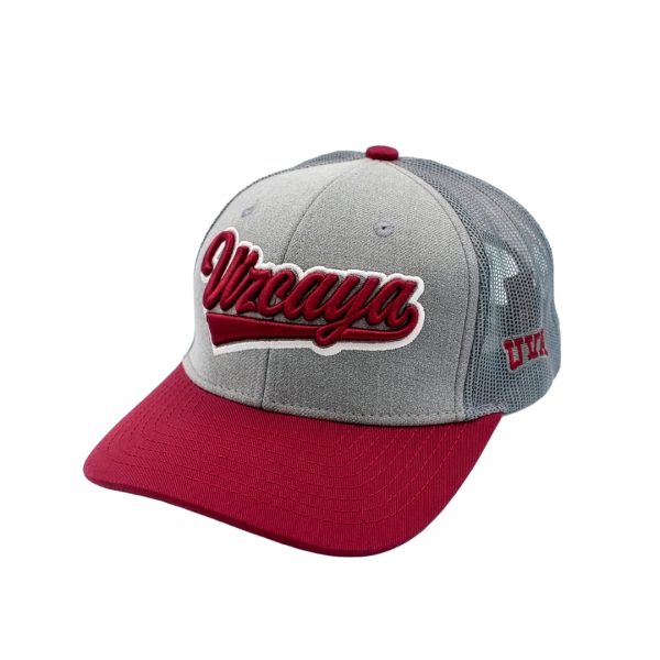 GORRA VIZCAYA 3D GRIS TINTO