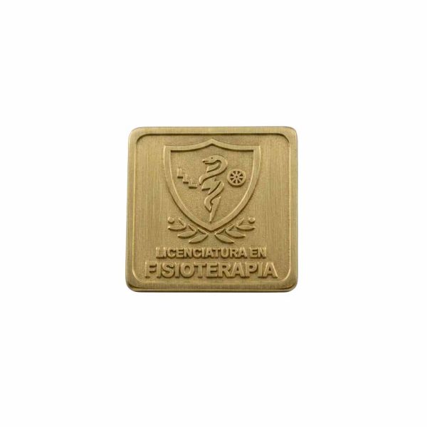 PIN LICENCIATURA FISIOTERAPIA DORADO